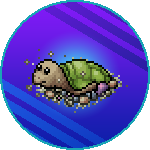 spromo_coralking18_rareturt.png